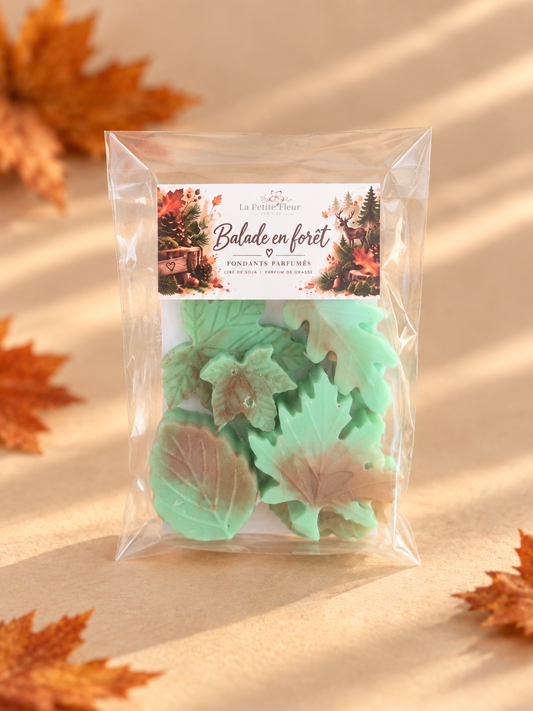 Fondants parfumés – Balade en forêt 🌲