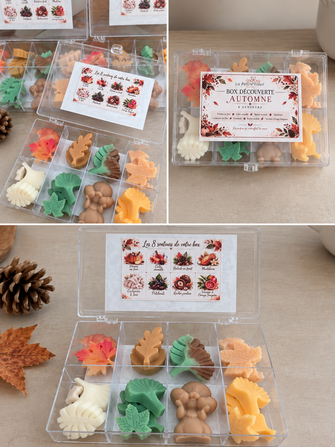 Box Découverte Automne – 8 senteurs
